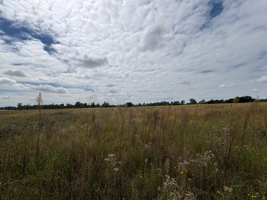 0 Bedroom Property for Sale in Vaalpark Free State